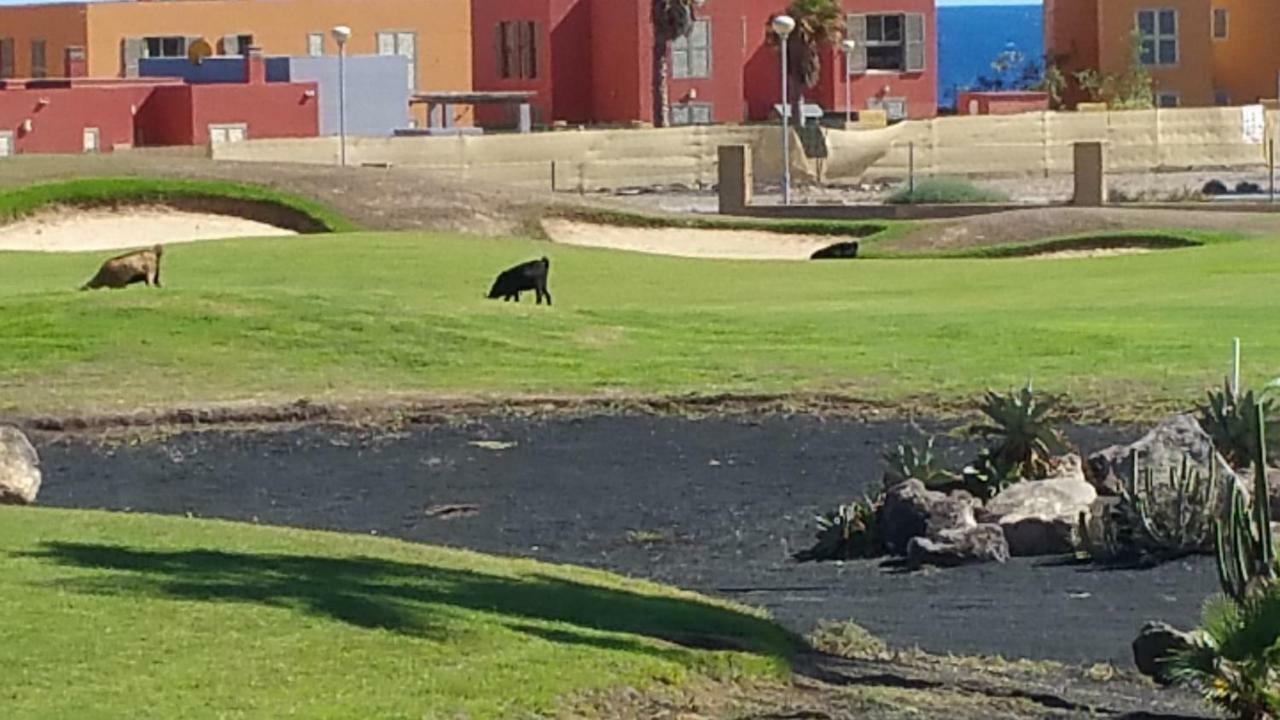 Villa Brisa Golf Salinas Caleta De Fuste Kültér fotó